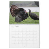 Der Kalender des Sportlers - das Jahr rund jagend (Mär 2027)