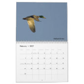 Der Kalender des Sportlers - das Jahr rund jagend (Feb 2027)