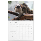 Der Kalender des Tier-Fotos (Feb 2027)