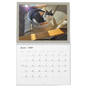 Der Kalender Die Chroniken von Todd und Freunden 2 (Mär 2027)