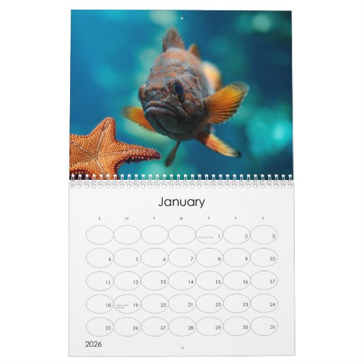 Der Kalender für den Ozean (unter Meeresleben) (Jan 2026)