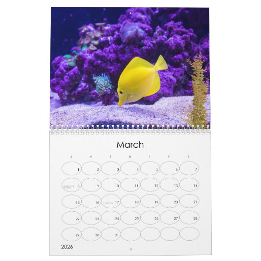 Der Kalender für den Ozean (unter Meeresleben) (Mär 2026)