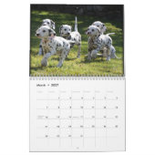 Der Kalender SpotShot Fotografie 2012 (Mär 2027)