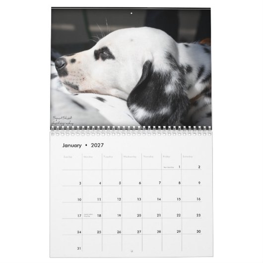 Der Kalender SpotShot Fotografie 2012 (Jan 2027)