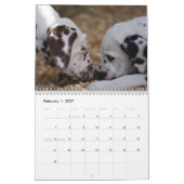 Der Kalender SpotShot Fotografie 2012 (Feb 2027)