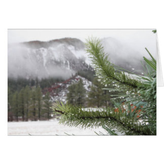 Der kalte Wintermorn