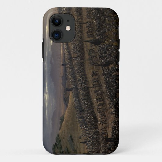Der Kampf der Pelennor Felder Case-Mate iPhone Hülle (Rückseite)