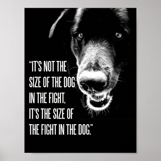 Der Kampf im Dog Poster (Vorne)