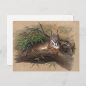 Der kanadische Luchs von Joseph Wolf Postkarte (Vorne/Hinten)