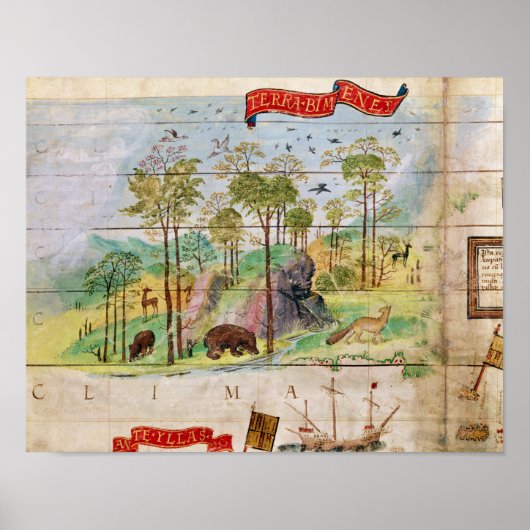 Der kanadische Wald Poster (Vorne)