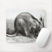 Der Kap Ameise-Esser Mousepad (Mit Mouse)