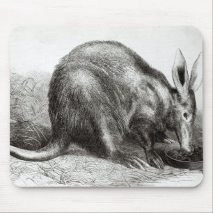 Der Kap Ameise-Esser Mousepad