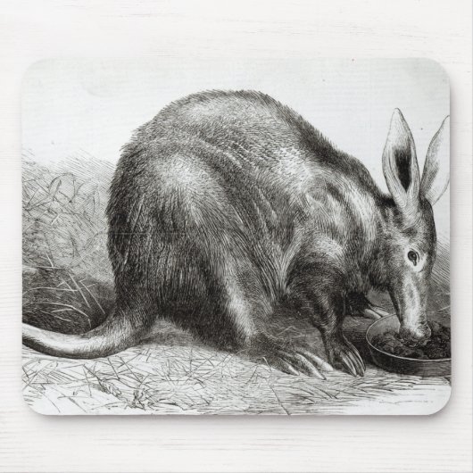 Der Kap Ameise-Esser Mousepad (Vorne)