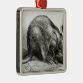 Der Kap Ameise-Esser Silbernes Ornament (Rechts)