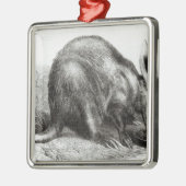 Der Kap Ameise-Esser Silbernes Ornament (Links)
