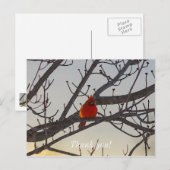 Der Kardinal am Morgen danke Ihnen Postkarte (Vorne/Hinten)