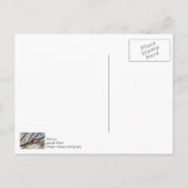 Der Kardinal am Morgen danke Ihnen Postkarte (Rückseite)