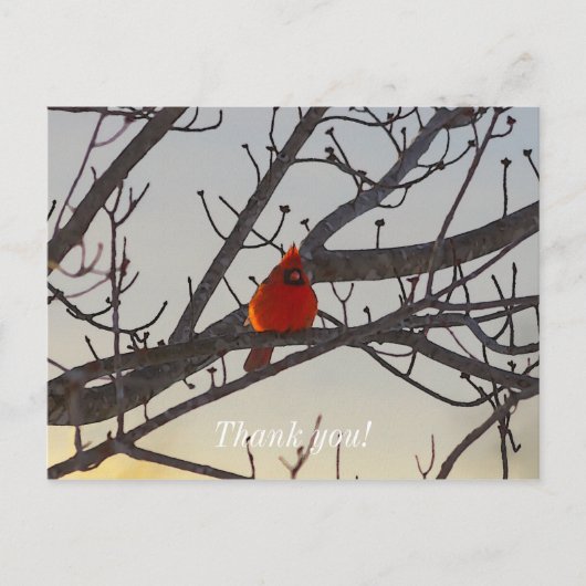 Der Kardinal am Morgen danke Ihnen Postkarte (Vorderseite)