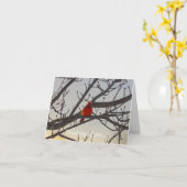 Der Kardinal am Morgen Karte (Gelbe Blume)