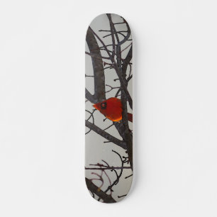 Der Kardinal am Morgen Skateboard