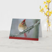 Der Kardinal, der an Sie denkt, kardieren Karte (Gelbe Blume)