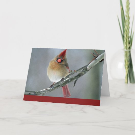 Der Kardinal, der an Sie denkt, kardieren Karte (Vorderseite)