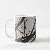 Der Kardinal in der morgendlichen Tasse des Kaffee (Links)