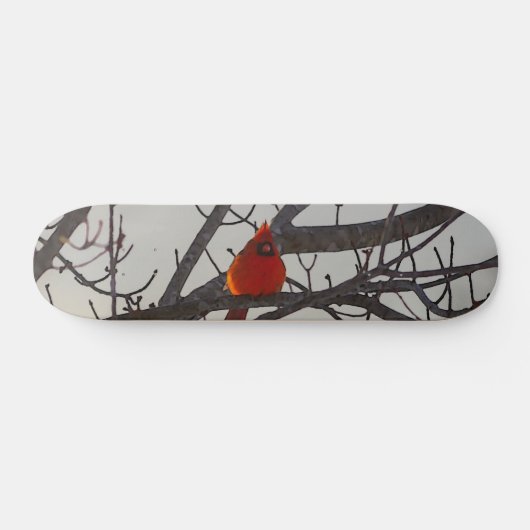 Der Kardinal morgens Skateboard (Horizontal)