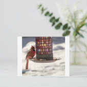 Der Kardinal Postkarte (Stehend Vorderseite)