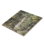 Der Kaskaden-Wasserfall bei Hestercombe arbeitet Fliese (Seite)