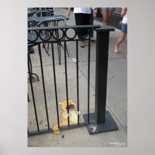 Der Katzen-Gefangene Poster