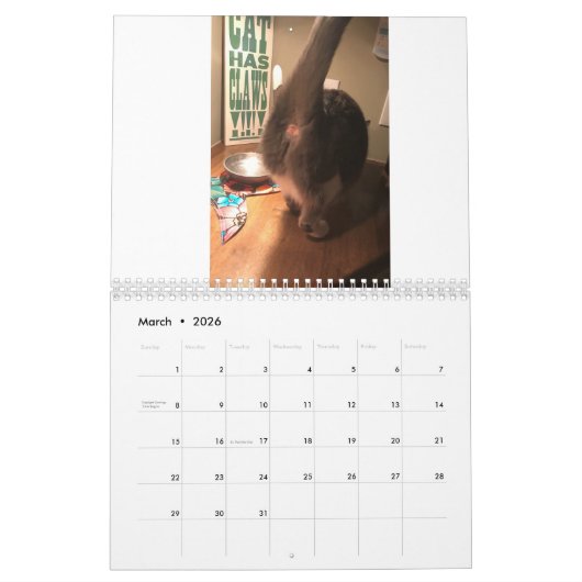 Der Katzen-Hintern-Kalender 2021 Kalender (Mär 2026)