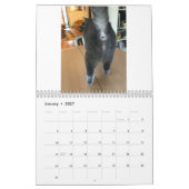 Der Katzen-Hintern-Kalender 2021 Kalender (Jan 2027)