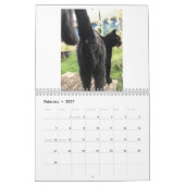 Der Katzen-Hintern-Kalender 2021 Kalender (Feb 2027)