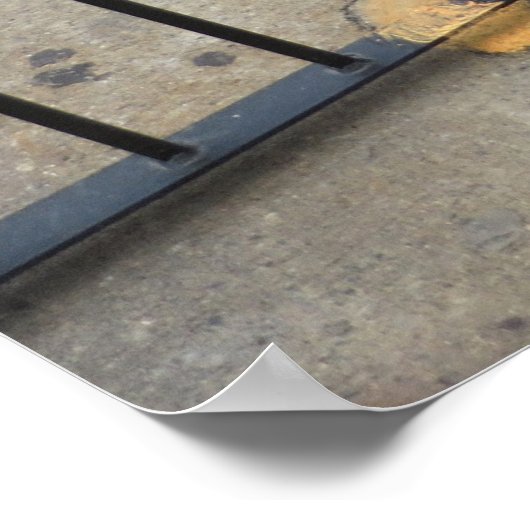 Der Katzengefängner Poster (Ecke)