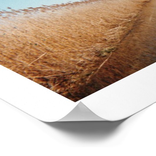 Der Kauseway Poster (Ecke)