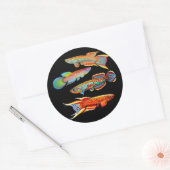 Der Killifish Sticker (Umschlag)