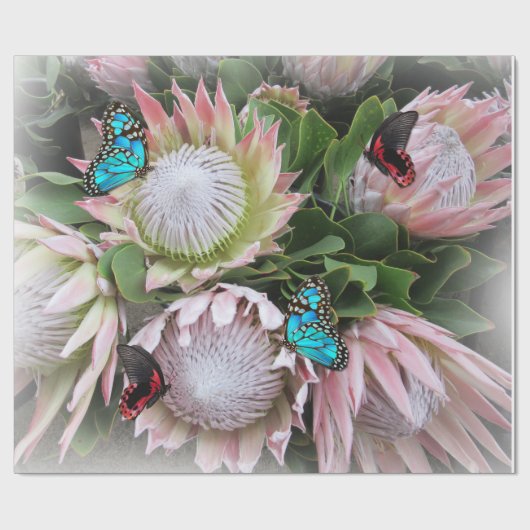 Der King Protea Geschenkpapier (Flach)