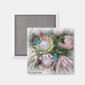 Der King Protea Magnet (Vorderseite/Rückseite)