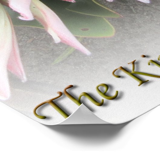 Der King Protea Poster (Ecke)