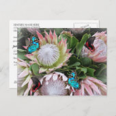 Der King Protea Postkarte (Vorne/Hinten)
