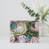 Der King Protea Postkarte (Stehend Vorderseite)
