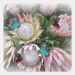 Der King Protea Quadratischer Aufkleber