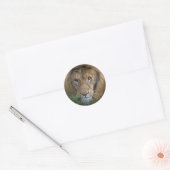 Der King Sticker (Umschlag)