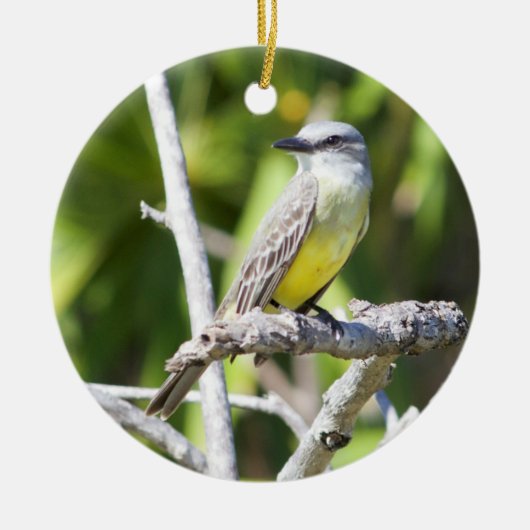 Der Kingbird der Couch des Yucatan Keramik Ornament (Vorne)