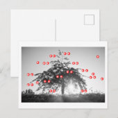 Der Kirschbaum Postkarte (Vorne/Hinten)