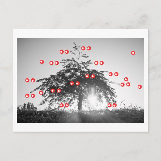 Der Kirschbaum Postkarte (Vorderseite)