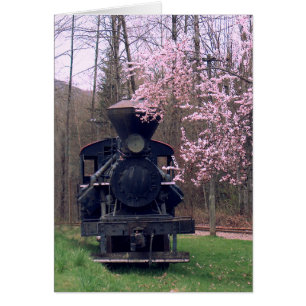 DER KIRSCHblüteSPECIAL durch SHARON SHARPE