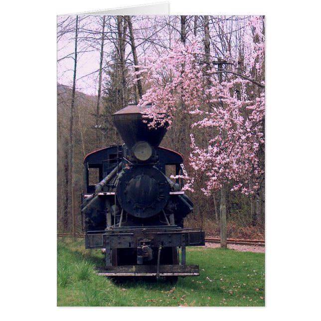 DER KIRSCHblüteSPECIAL durch SHARON SHARPE (Vorne)