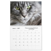 Der Kiteskalender Gold-Glitzer Kalender (Mär 2027)